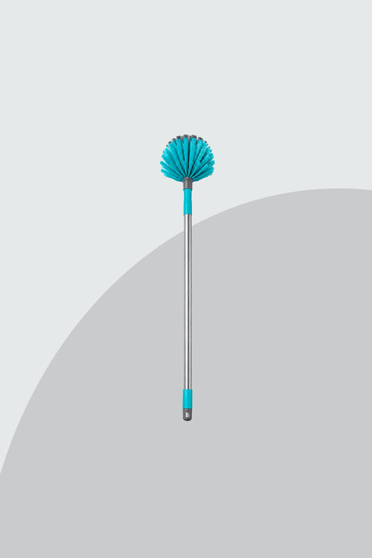 Cobweb Broom